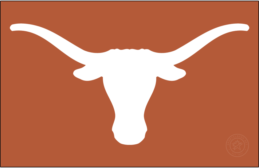 Texas Longhorns 2019-Pres Primary Dark Logo diy DTF decal sticker